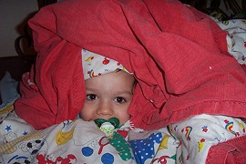 blanketco.jpg (21114 bytes)